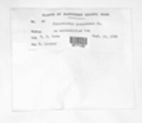 Image Associated With the Occurence